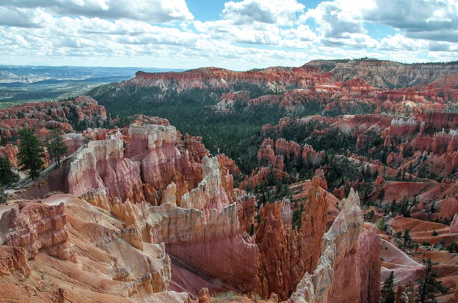 Panorama from the rim, Bryce Canyon by NaturesPix Panorama from the rim, Bryce Canyon by NaturesPix