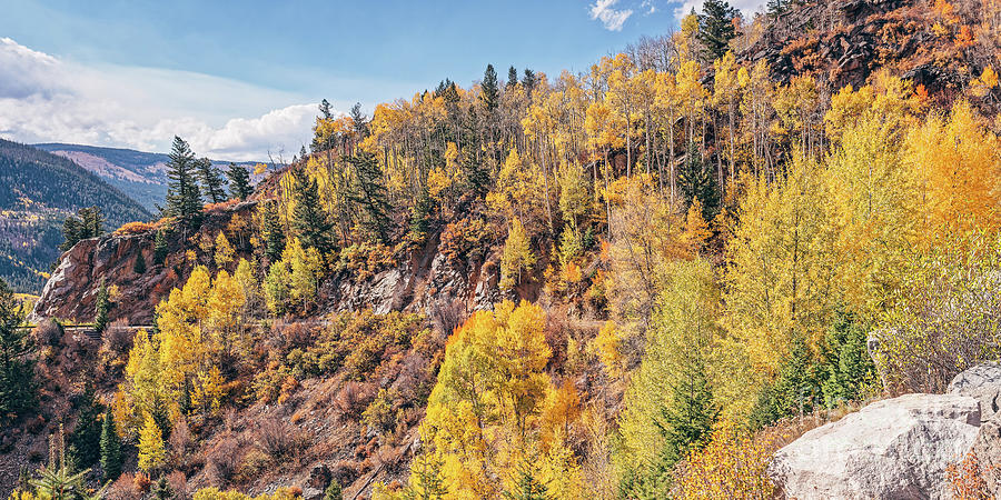 Panorama of A Mountainside Covered with Changing Aspens - Roaring Fork River Pitkin County Colorado by Silvio Ligutti Panorama of A Mountainside Covered with Changing Aspens - Roaring Fork River Pitkin County Colorado by Silvio Ligutti
