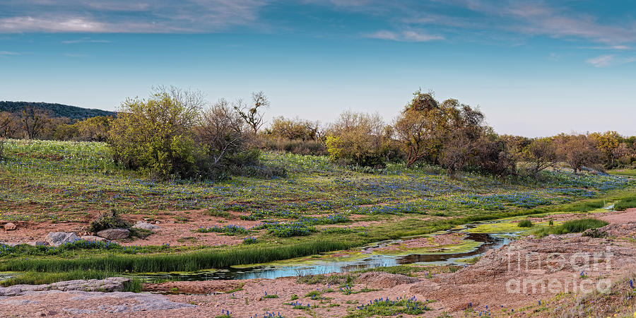 Spring Photograph - Panorama of Creek Running through Ship Hollow at Willow City Loop  Fredericksburg Texas Hill Country by Silvio Ligutti
