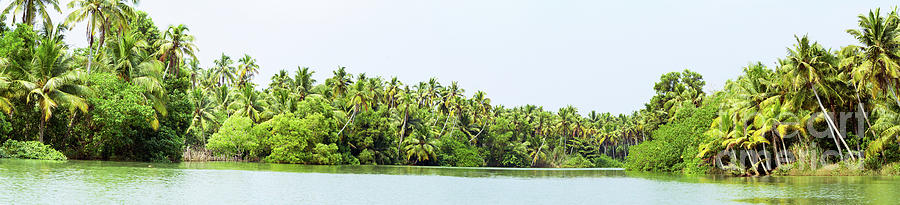 Panorama of Kerala backwaters - a chain of brackish lagoons and ...