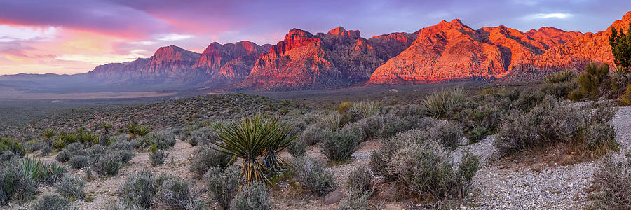 Panorama of Rainbow Wilderness Red Rock Canyon - Las Vegas Nevada Photograph by Silvio Ligutti