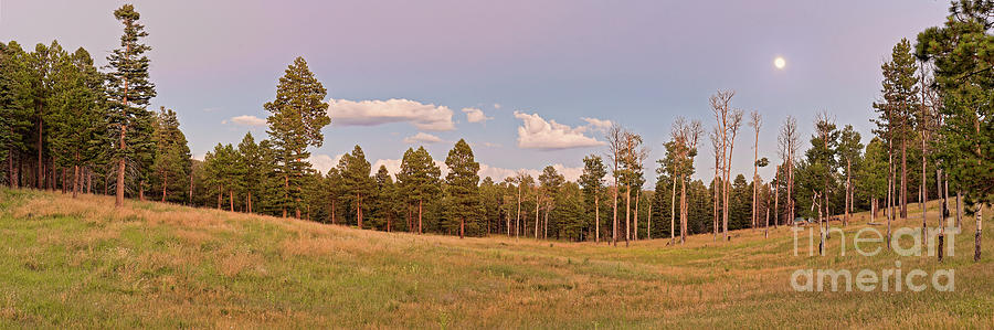 Panorama of Twilight Meadow at Valles Caldera - Los Alamos New Mexico Land of Enchantment Photograph by Silvio Ligutti