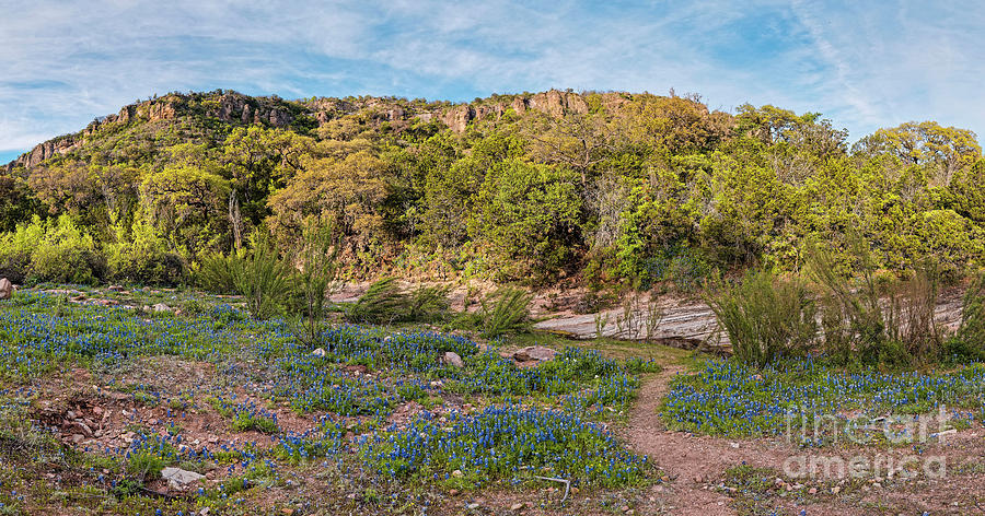 Panorama Of Willow City Loop Bluebonnets And Granite Mountains - Fredericksburg Texas Hill Country Photograph