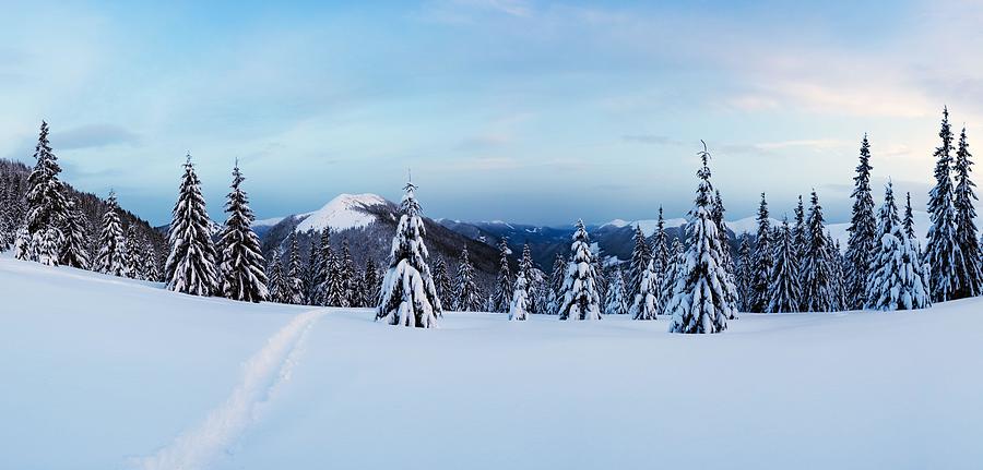 Winter Photograph - Panorama Of Winter Landscape With Snowy by Ivan Kmit