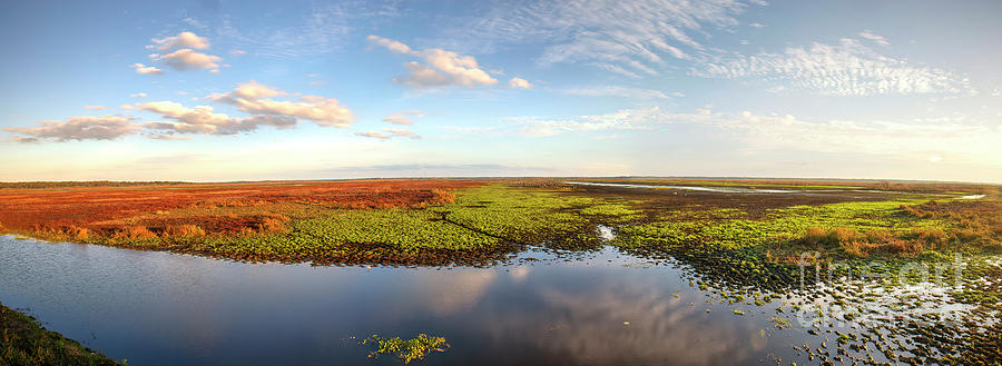 Panorama, Paynes Prairie Preserve State Park, Florida, at Sunset Photograph by Felix Lai