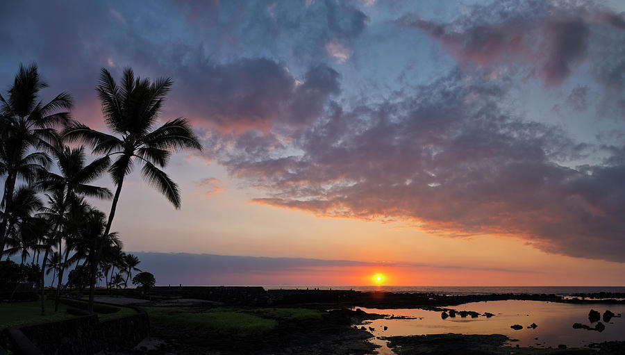Panorama Sunset With Palms, Keauhou Photograph by Alvis Upitis