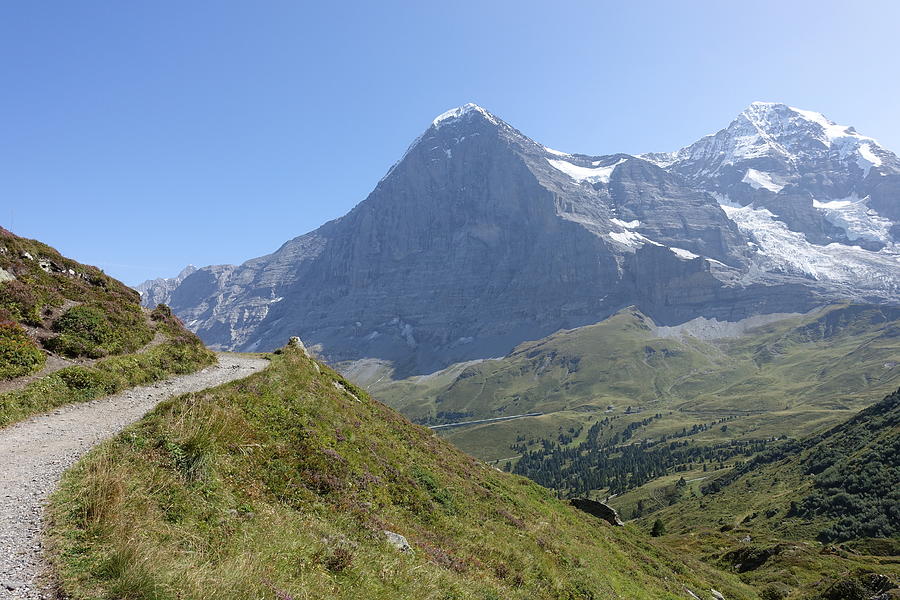 Panorama Trail with view of Monch and Eiger Photograph by Patricia Caron