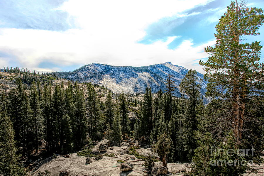 Panorama Yosemite Nature Views  Photograph by Chuck Kuhn