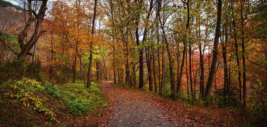 Panoramic Autumn Scene Photograph by Lisa Lambert-Shank