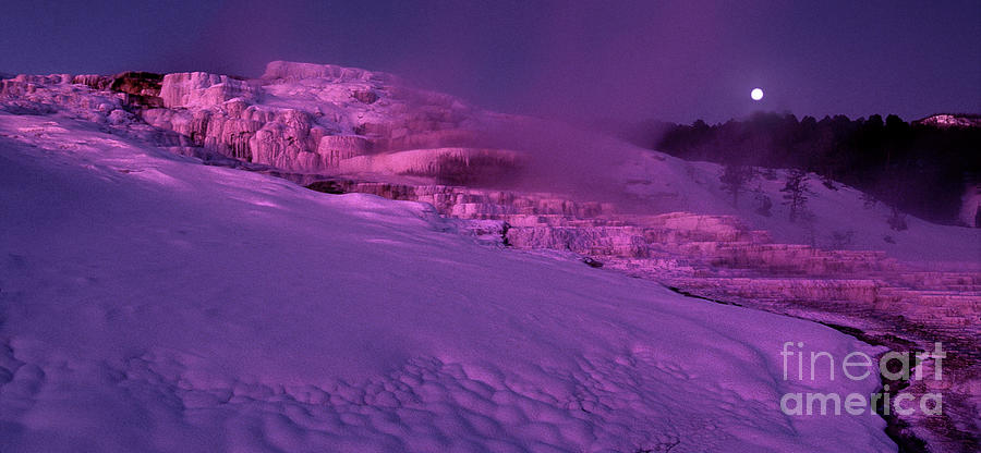 panoramic dawn alpenglow on minerva springs yellowston by Dave Welling panoramic dawn alpenglow on minerva springs yellowston by Dave Welling