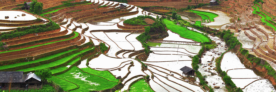 Panoramic Landscape Of Teraced Rice Photograph by Long Hoang