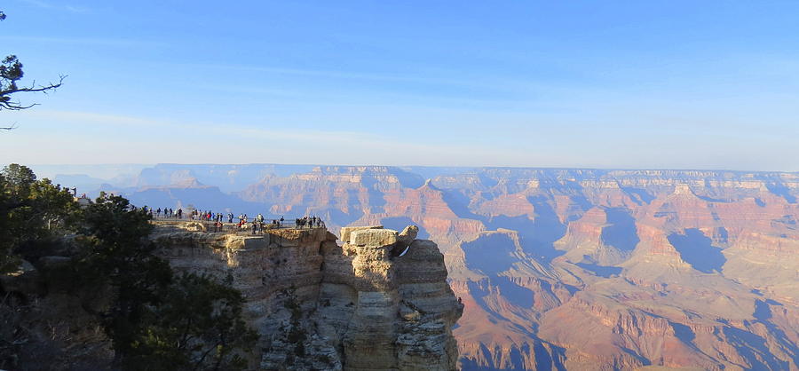 Panoramic Of The Grand Canyon Photograph by Kay Novy