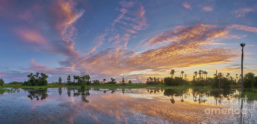 Panoramic Orlando Wetlands Park Photograph by Brian Kamprath