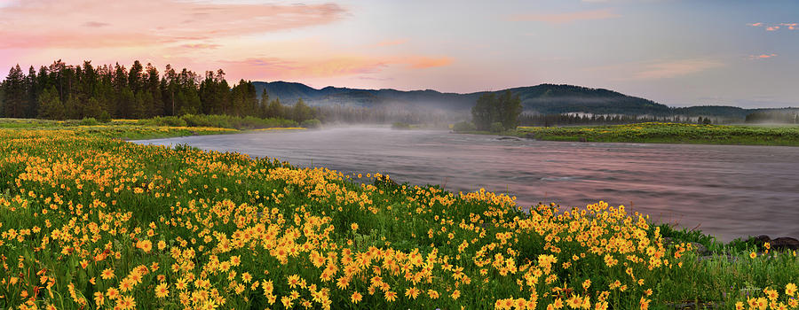 Panoramic Spring Photograph by Leland D Howard