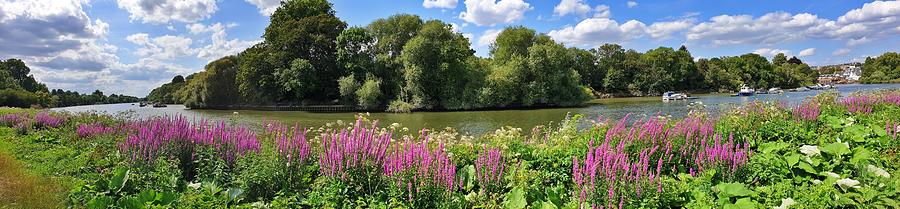 Panoramic Thames River by Andrea Whitaker Panoramic Thames River by Andrea Whitaker
