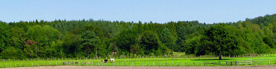 Panoramic view - Green fields of Germany Photograph by Patricia Piotrak