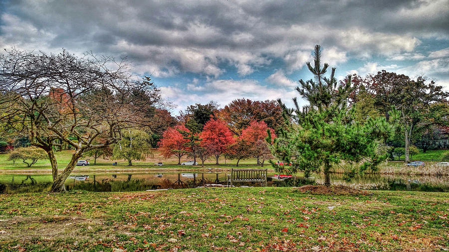 Panoramic view of Bruce Park, Greenwich, Connecticut Photograph by Cordia Murphy