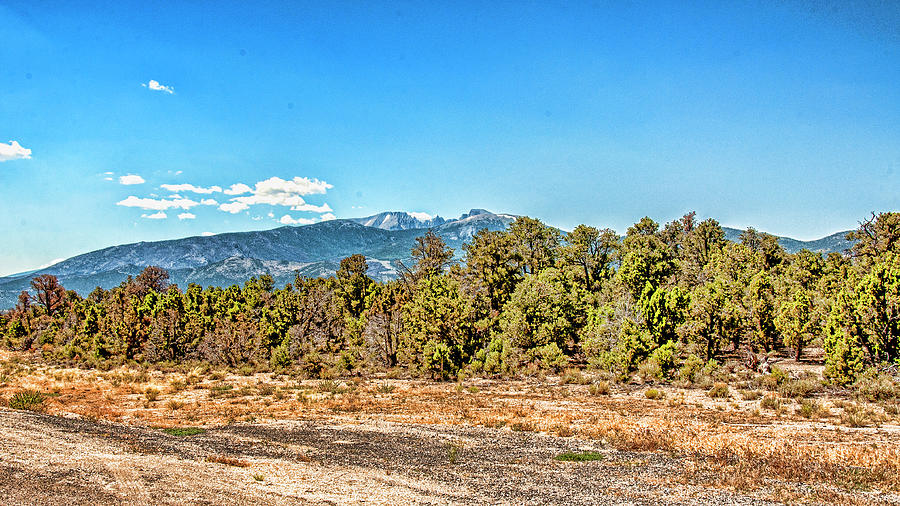  Panoramic View of Great Basin National Park Photograph by Daniel Hebard