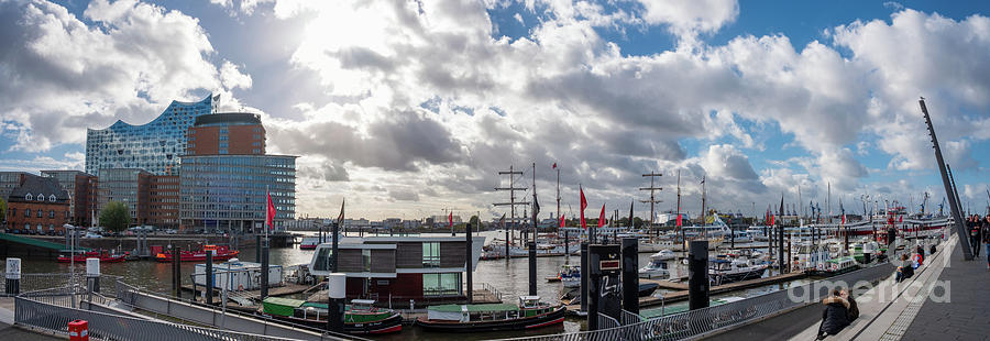 Panoramic view of Hamburg Photograph by Marina Usmanskaya