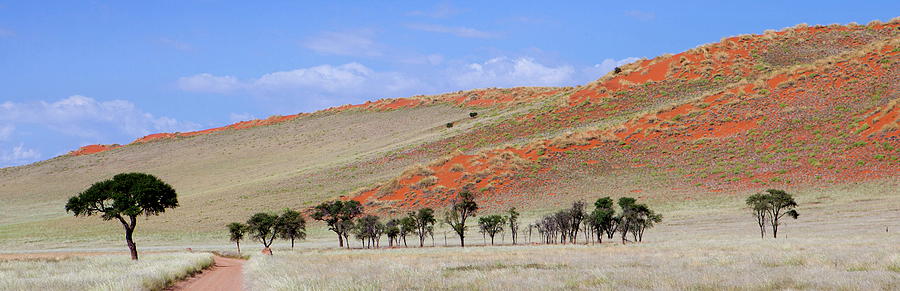 Scenic Photograph - Panoramic View Showing Trees And by Lee Frost / Robertharding Scenic Photograph - Panoramic View Showing Trees And by Lee Frost / Robertharding