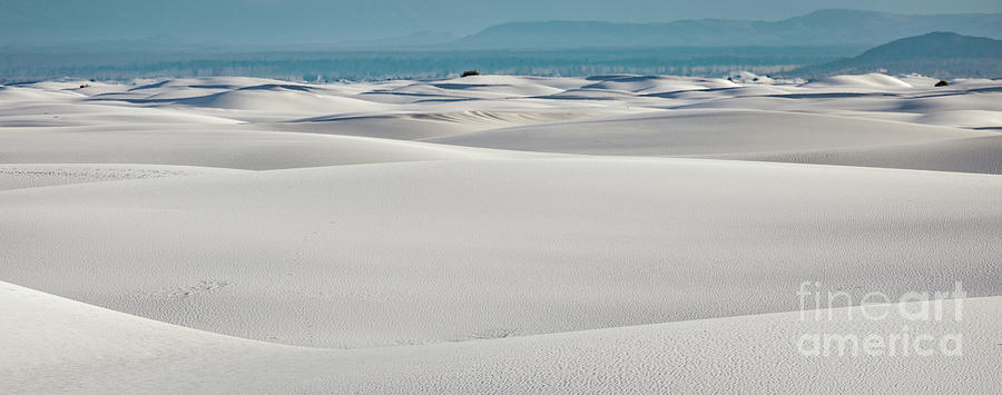 Panoramic White Sands Photograph by Doug Sturgess