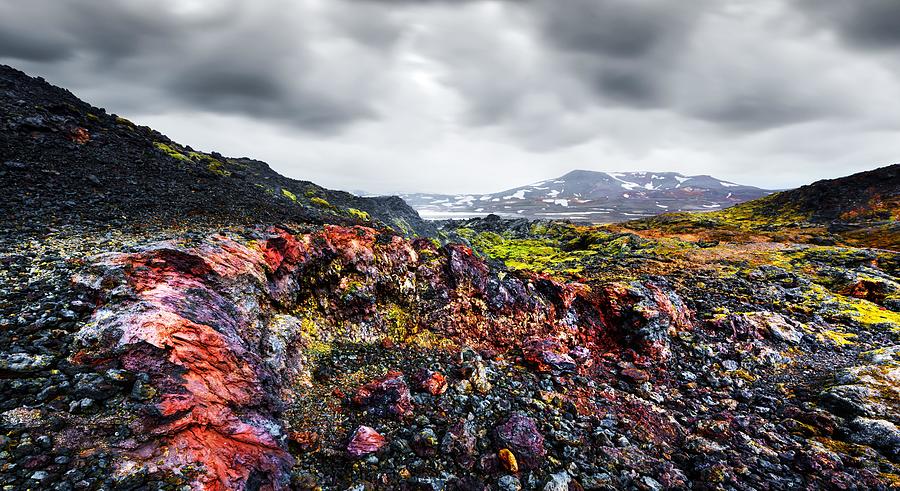 Nature Photograph - Panoramical View Of Reeky Lavas Field by Ivan Kmit