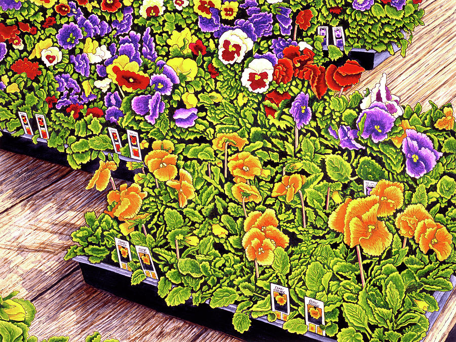 Pansies Painting by Thelma Winter