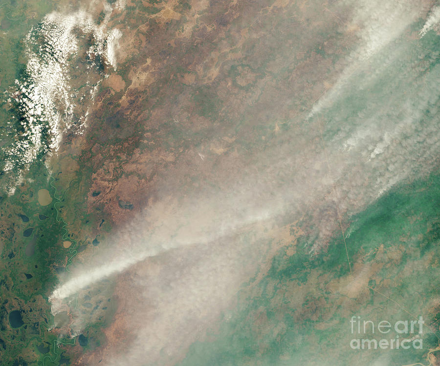 Pantanal Fires Photograph by Nasa Earth Observatory, Lauren Dauphin/usgs/science Photo Library