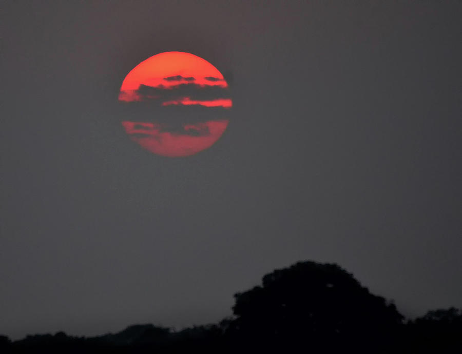 Pantanal Sunrise Photograph by Bill Cain