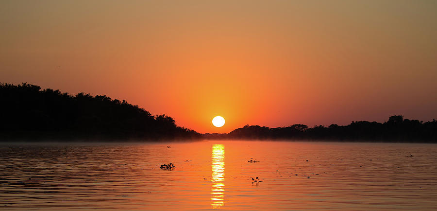 Pantanal Sunrise Photograph by Max Waugh