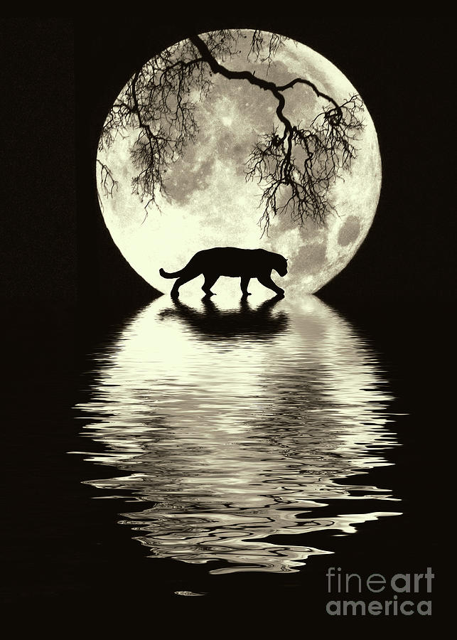 Cat Photograph - Panther and Super Moon by Stephanie Laird