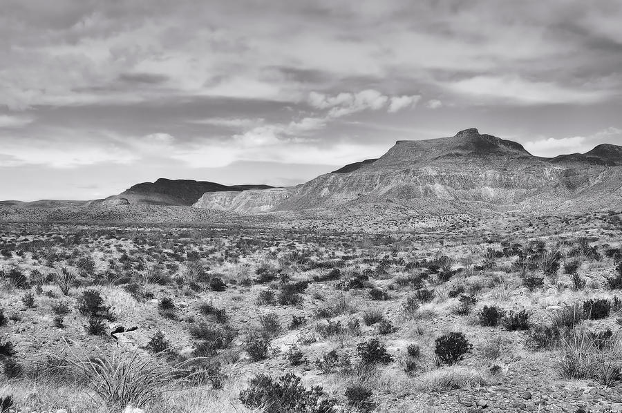 Panther Canyon Trail Photograph by Robert A Jones - Fine Art America