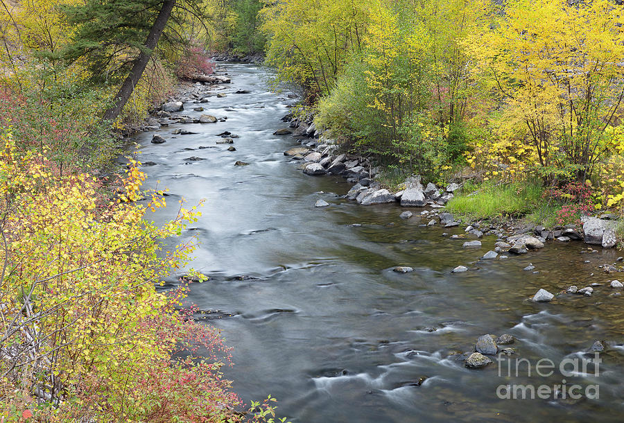 Panther Creek Autumn Photograph