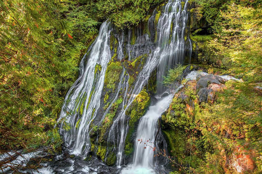 Fall Photograph - Panther Creek Falls 0971 by Kristina Rinell