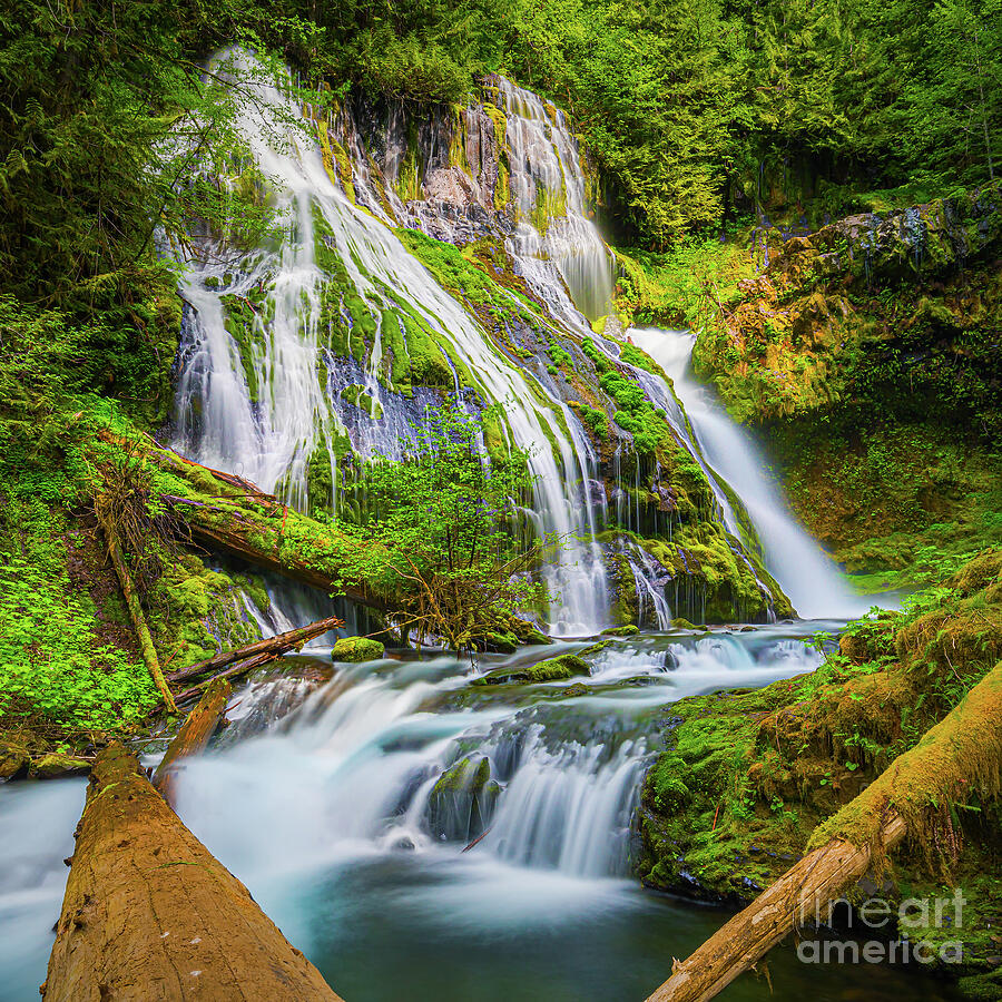 Panther Creek Falls, Washington State 3 Photograph by Henk Meijer Photography