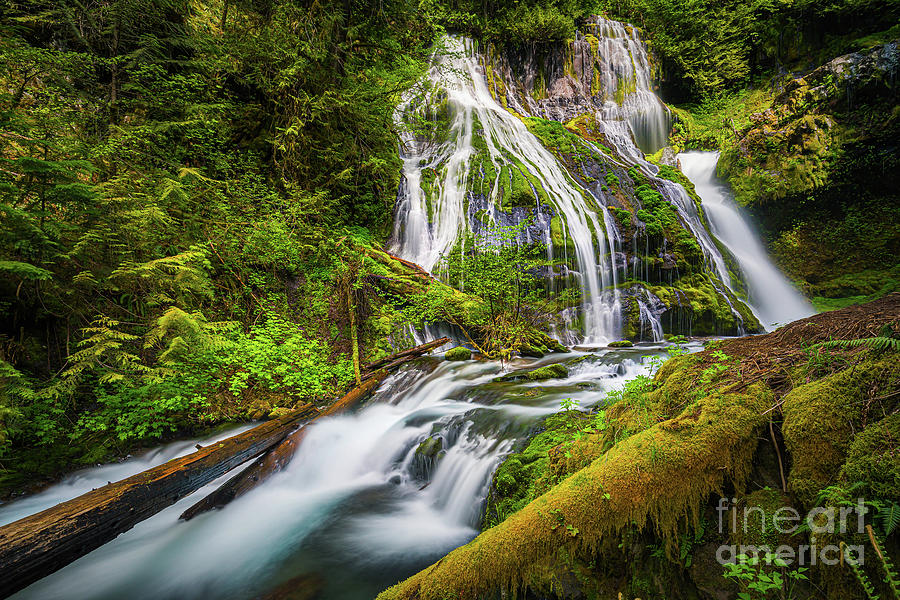 Panther Creek Falls, Washington State 4 Photograph by Henk Meijer Photography