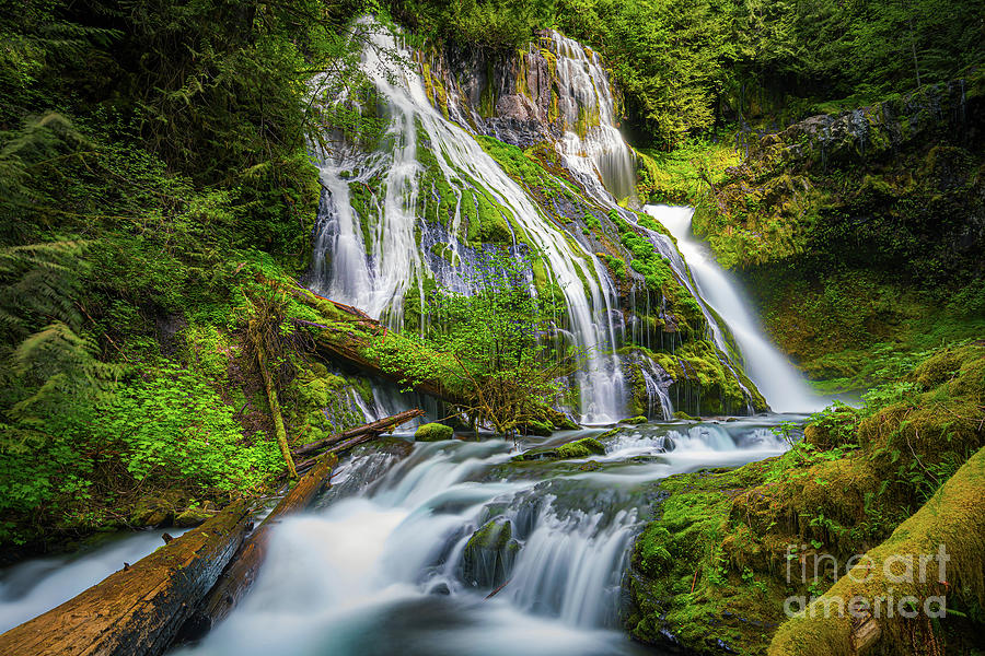 Panther Creek Falls, Washington, USA Photograph by Henk Meijer Photography