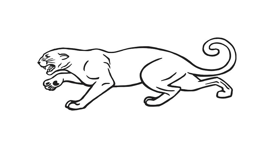 Illustration Panther