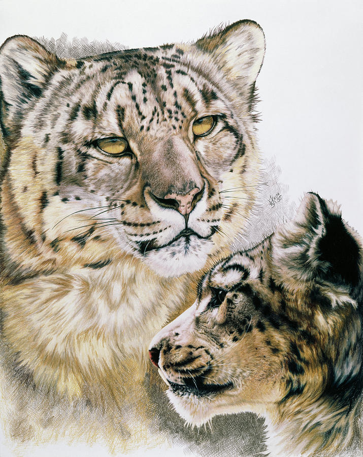 Snow Leopard Painting - Panthera Uncia by Barbara Keith