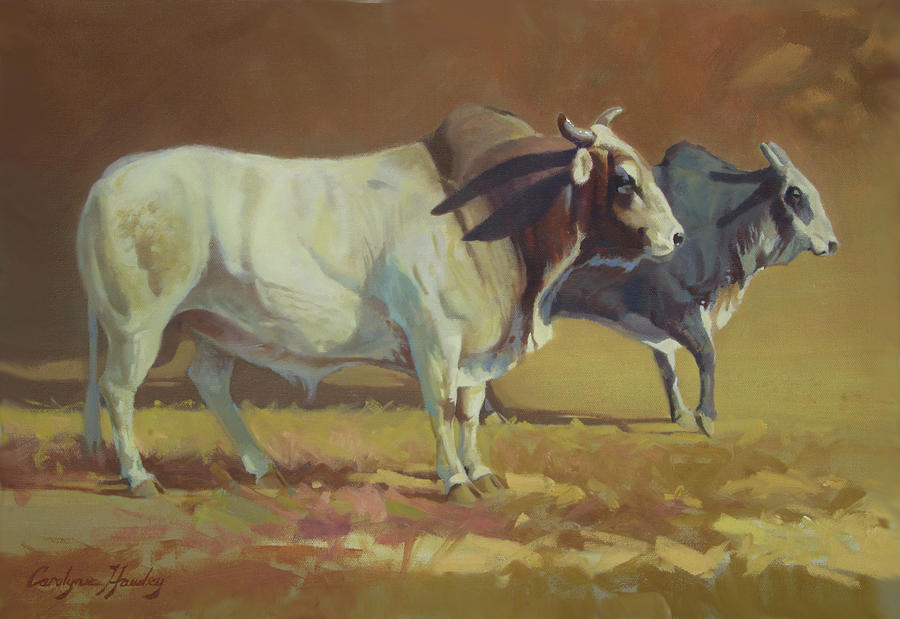 Papa Bull Painting by Carolyne Hawley
