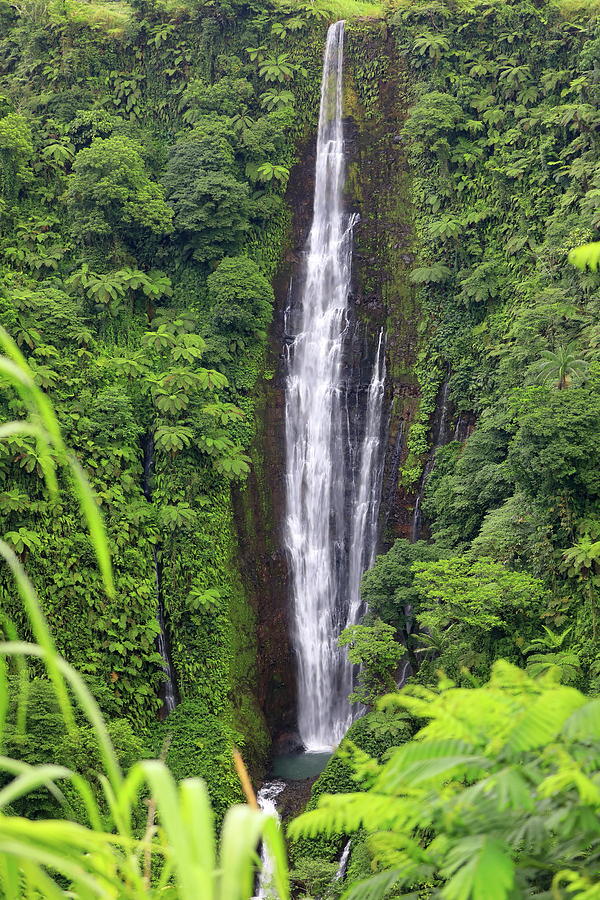 Papapapaitai waterfall in Western Samoa Photograph by Alex Nikitsin ...