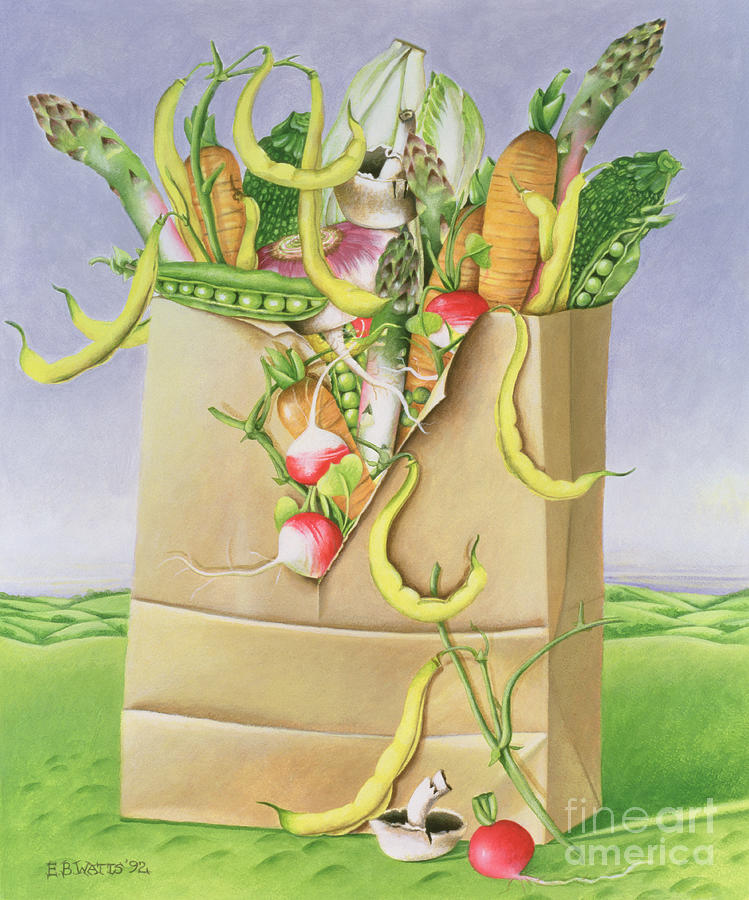 Paper Bag With Vegetables Painting by Eb Watts