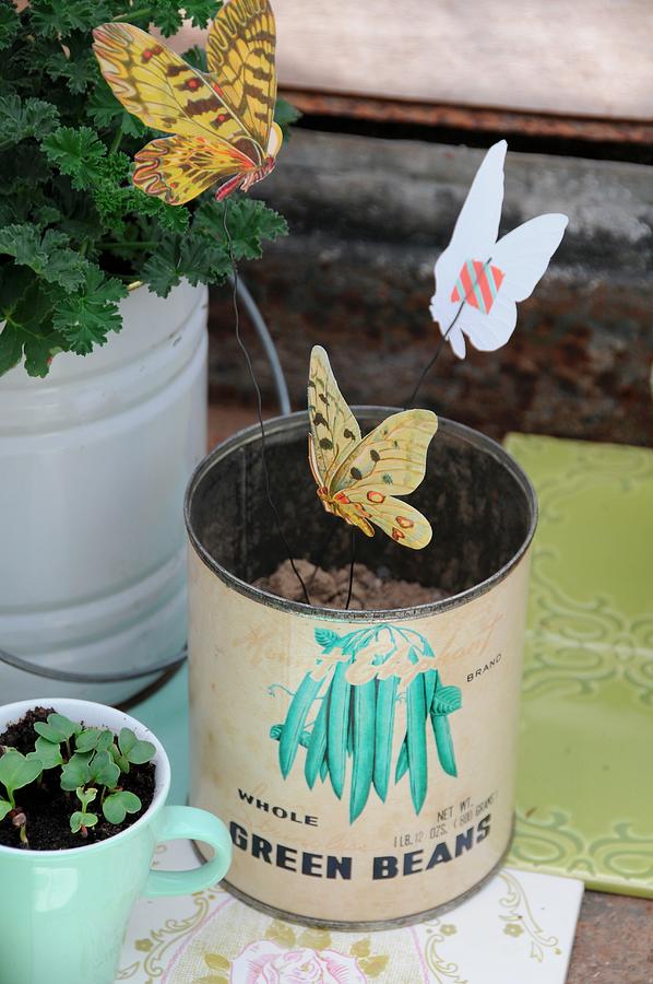 Paper Butterflies Attached To Wire Using Washi Tape And Stuck In Vintage Food Tin Photograph by Revier 51
