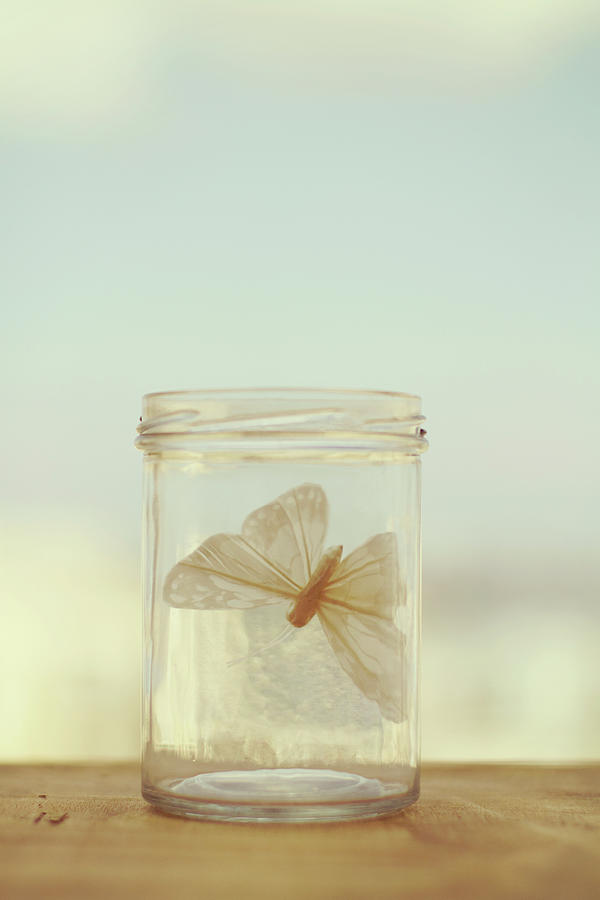 Paper Butterfly In Glass Bowl Photograph by Copyright Anna Nemoy(xaomena)