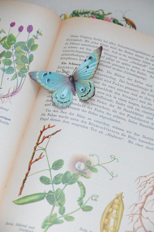 Paper Butterfly On Open, Antiquarian Plant Book Photograph by Revier 51