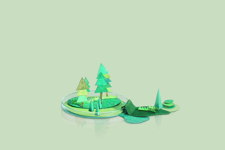 Paper Craft Mountains And Trees On A Photograph by Paper Boat Creative Paper Craft Mountains And Trees On A Photograph by Paper Boat Creative