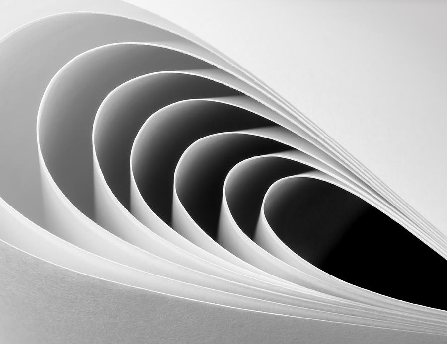 Still Life Photograph - Paper Crescents by Jacqueline Hammer
