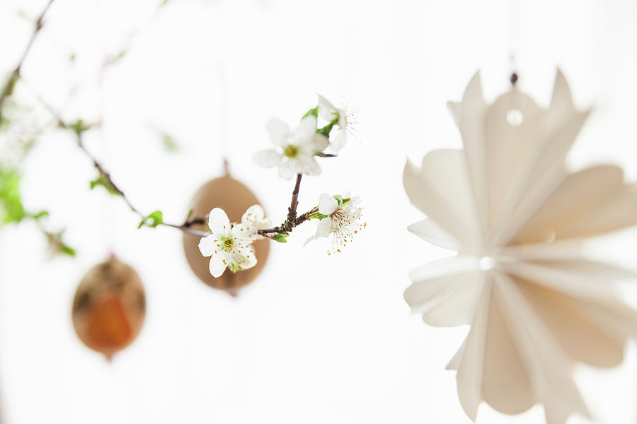 Paper Decorations And Easter Eggs Hung From Blossoming Fruit Branch Photograph by Anneliese Kompatscher
