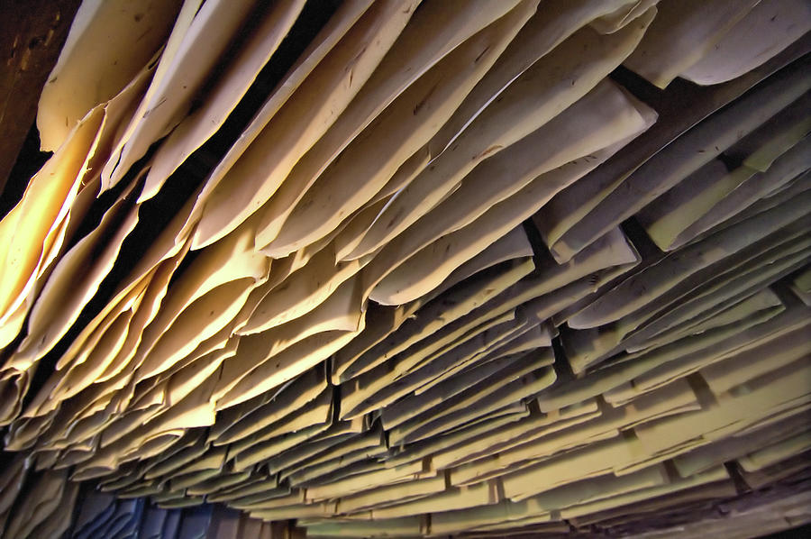 Paper Drying Photograph by Frédéric Coignot