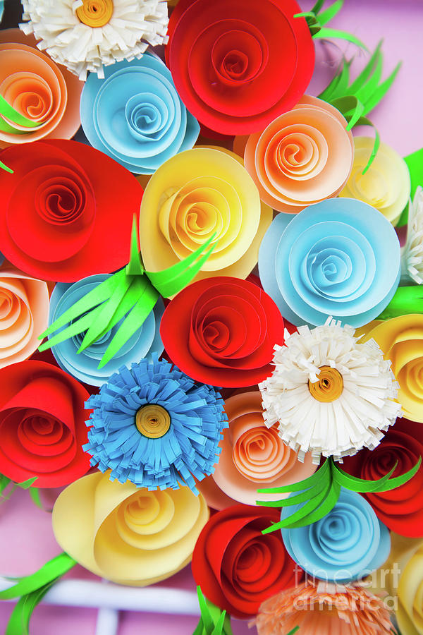 Paper Flowers Photograph by Tahreer Photography